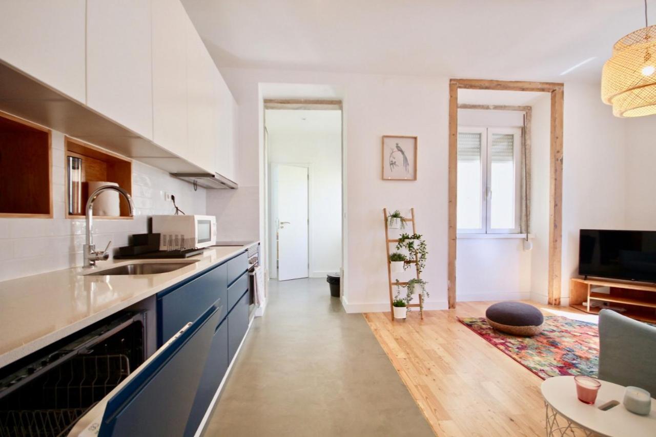 Akicity Anjos In Apartment